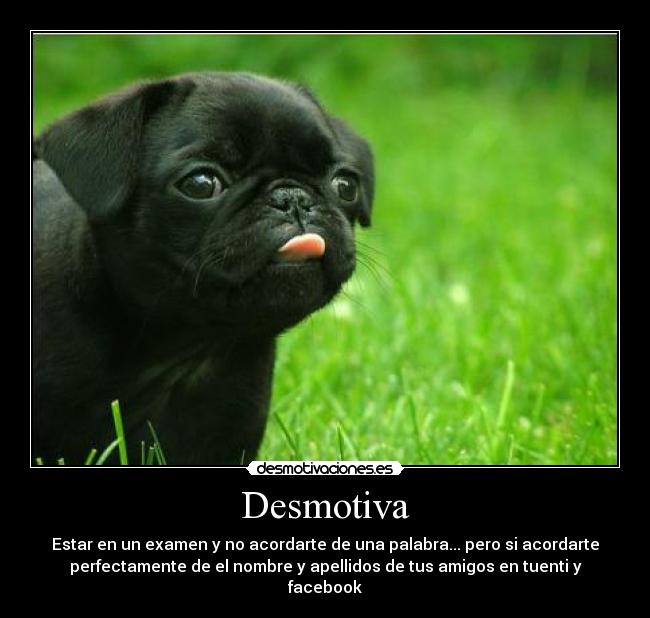 carteles tuenti facebook desmotivaciones