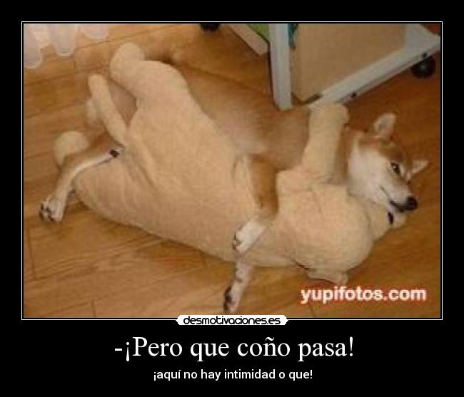 -¡Pero que coño pasa! - ¡aquí no hay intimidad o que!