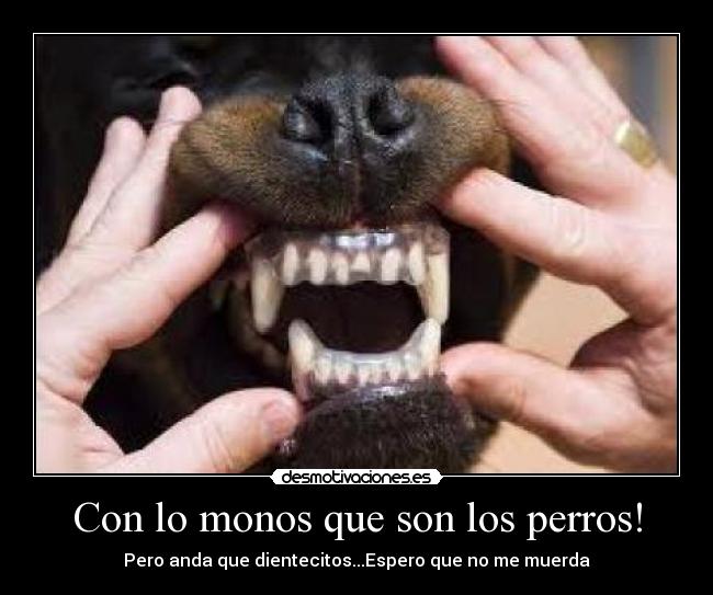 carteles perros desmotivaciones