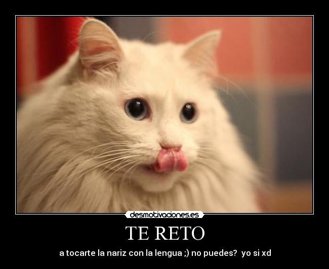 TE RETO -