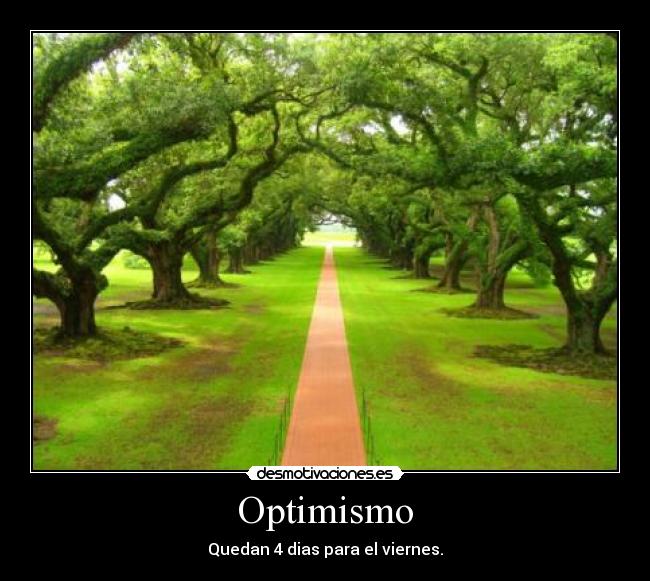 Optimismo - 