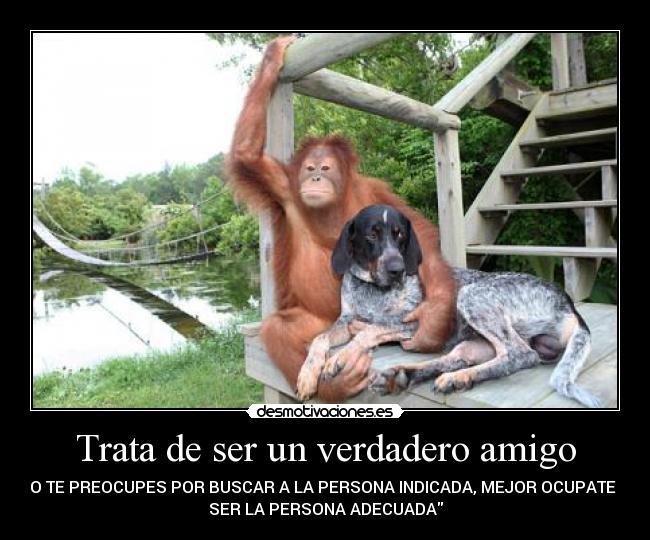 Trata de ser un verdadero amigo -