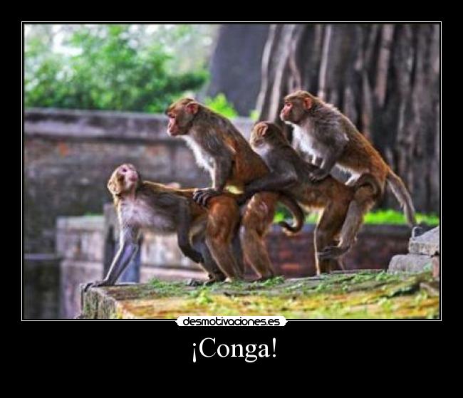 ¡Conga! - 