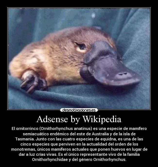 Adsense by Wikipedia -