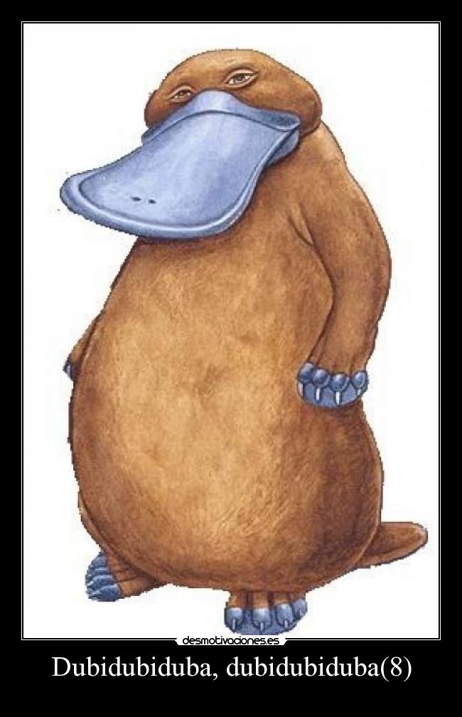 Dubidubiduba, dubidubiduba(8) -
