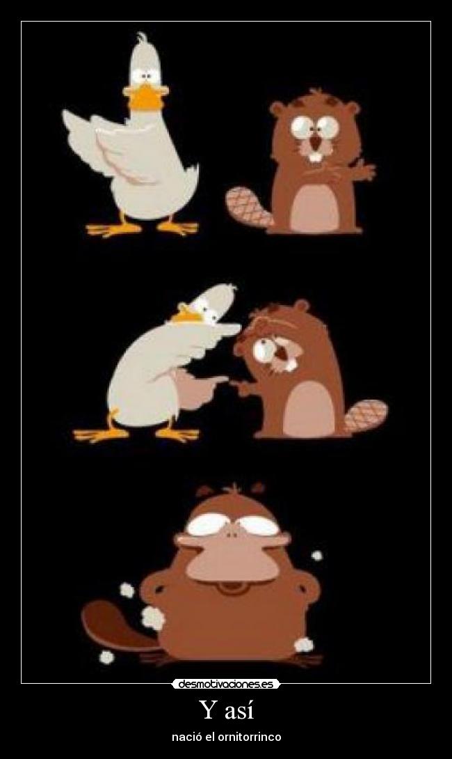 Y así - nació el ornitorrinco