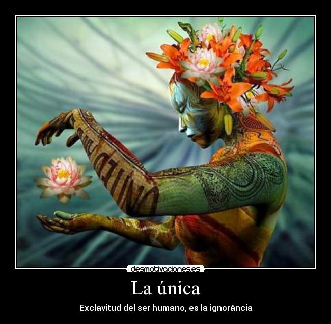 La única - Exclavitud del ser humano, es la ignoráncia