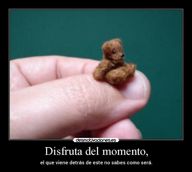 Disfruta del momento, - el que viene detrás de este no sabes como será.