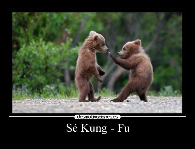 Sé Kung - Fu - 