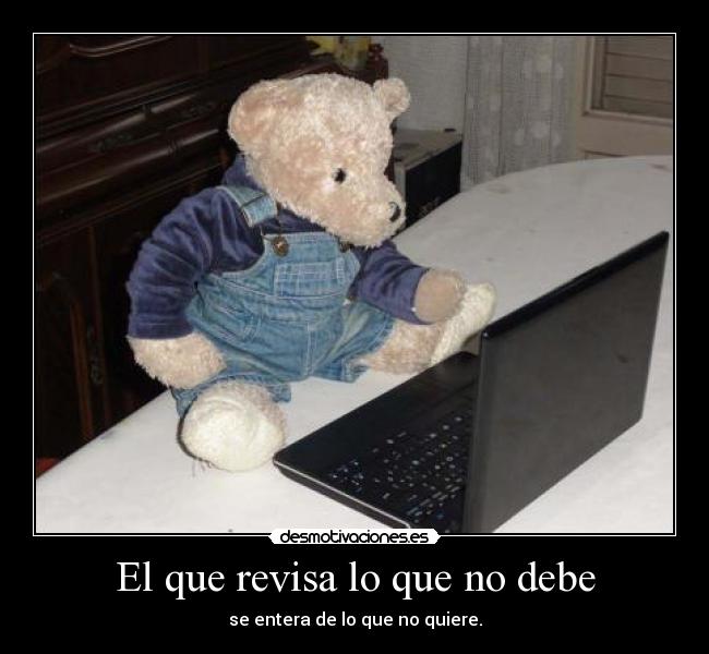 El que revisa lo que no debe - 