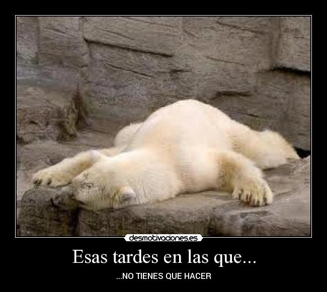 Esas tardes en las que... - ...NO TIENES QUE HACER