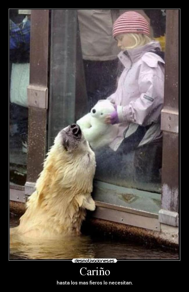 Cariño - hasta los mas fieros lo necesitan.