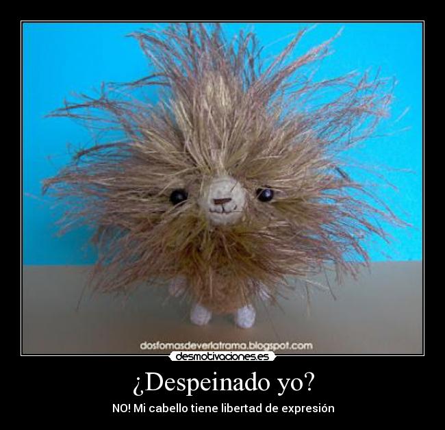 ¿Despeinado yo? - NO! Mi cabello tiene libertad de expresión