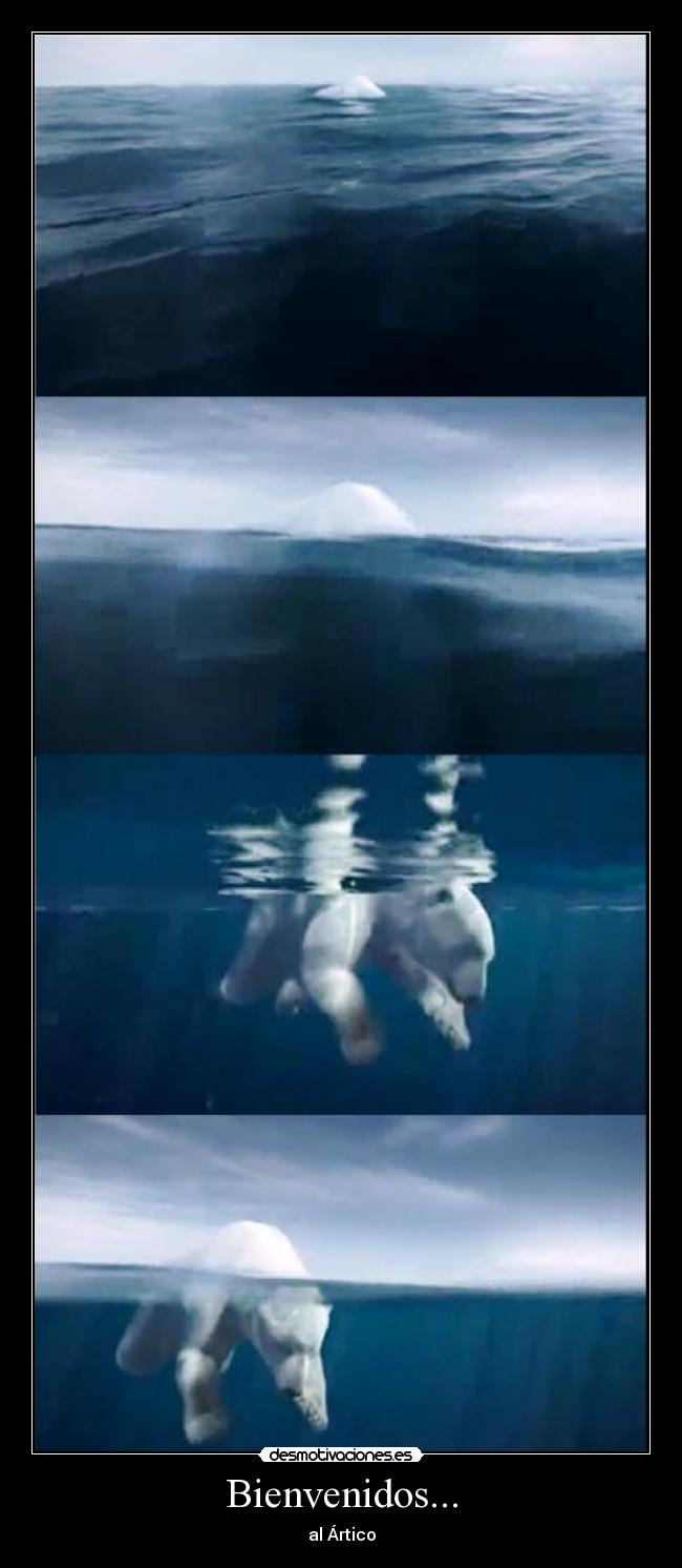 Bienvenidos... - al Ártico
