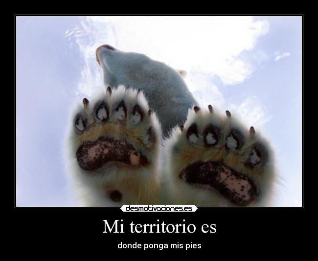 Mi territorio es - donde ponga mis pies