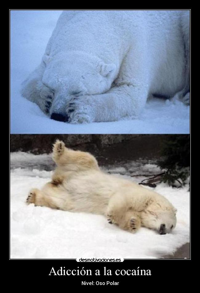 Adicción a la cocaína -