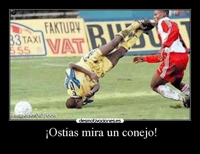 ¡Ostias mira un conejo! - 