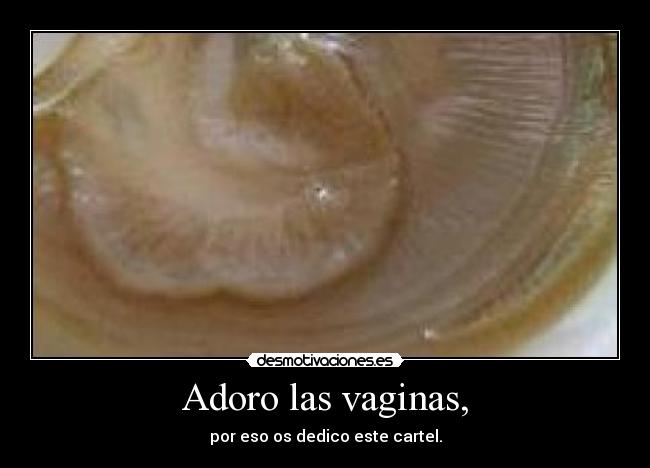 Adoro las vaginas, - por eso os dedico este cartel.
