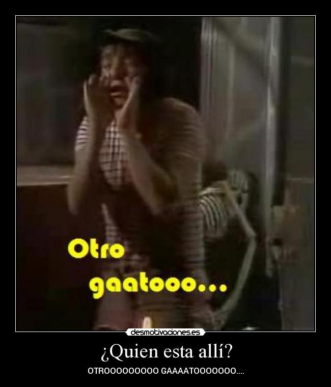 ¿Quien esta allí? - OTROOOOOOOOO GAAAATOOOOOOO....
