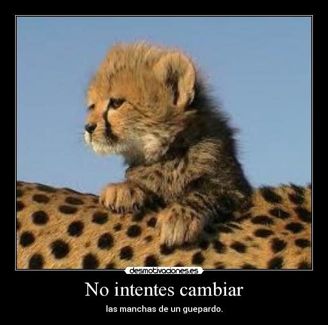 No intentes cambiar - las manchas de un guepardo.