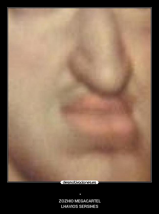 . - ZOZHIO MEGACARTEL
LHAVIOS SERSIHES