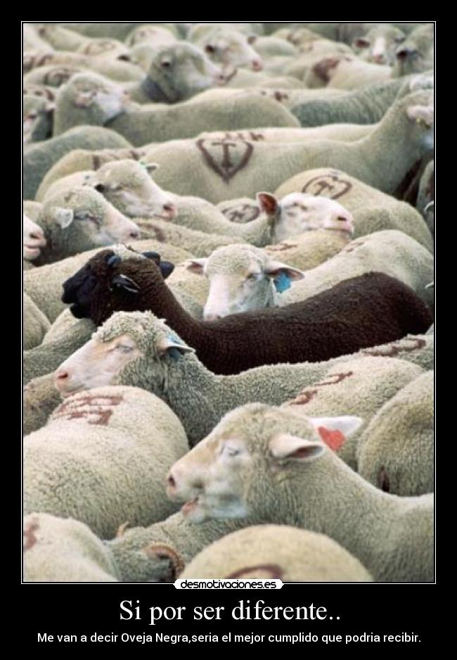Si por ser diferente.. - Me van a decir Oveja Negra,seria el mejor cumplido que podria recibir.