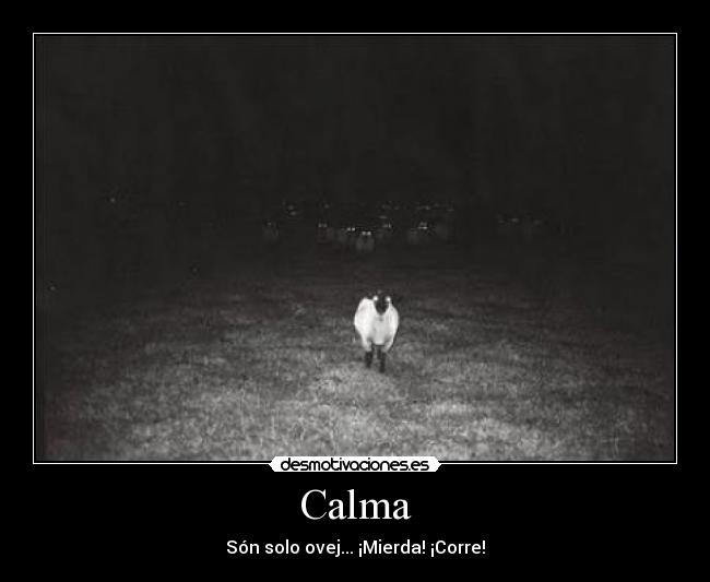 Calma - Són solo ovej... ¡Mierda! ¡Corre!