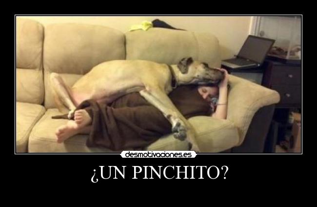 ¿UN PINCHITO? -