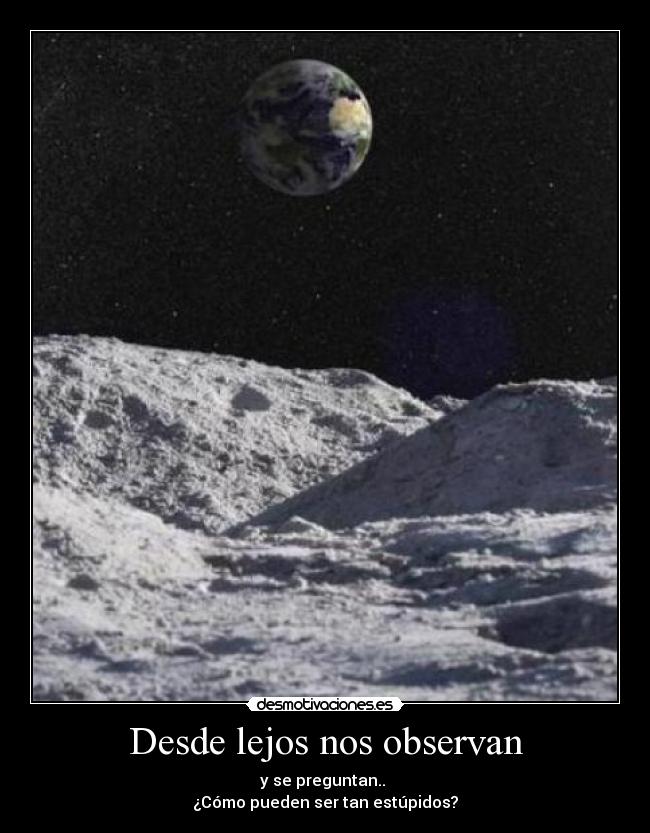 Desde lejos nos observan - 