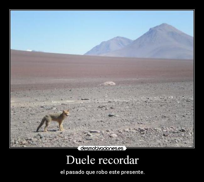 Duele recordar -