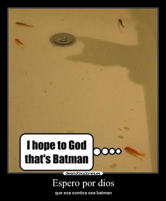 Espero por dios - que esa sombra sea batman