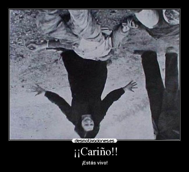 ¡¡Cariño!! - 