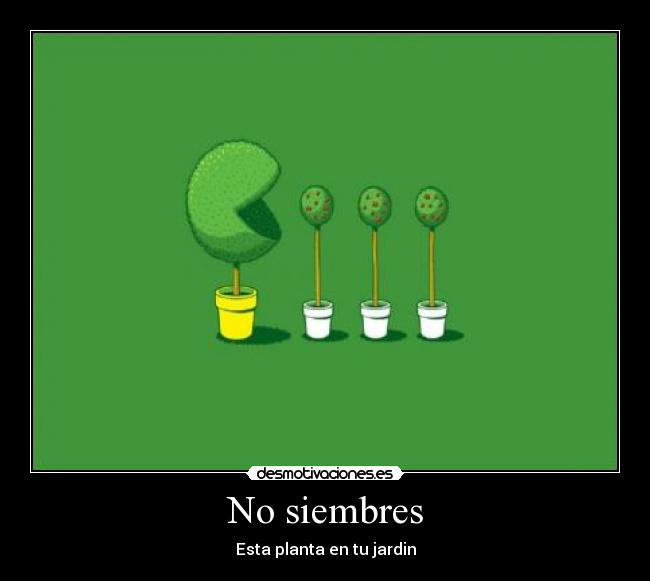 No siembres - 