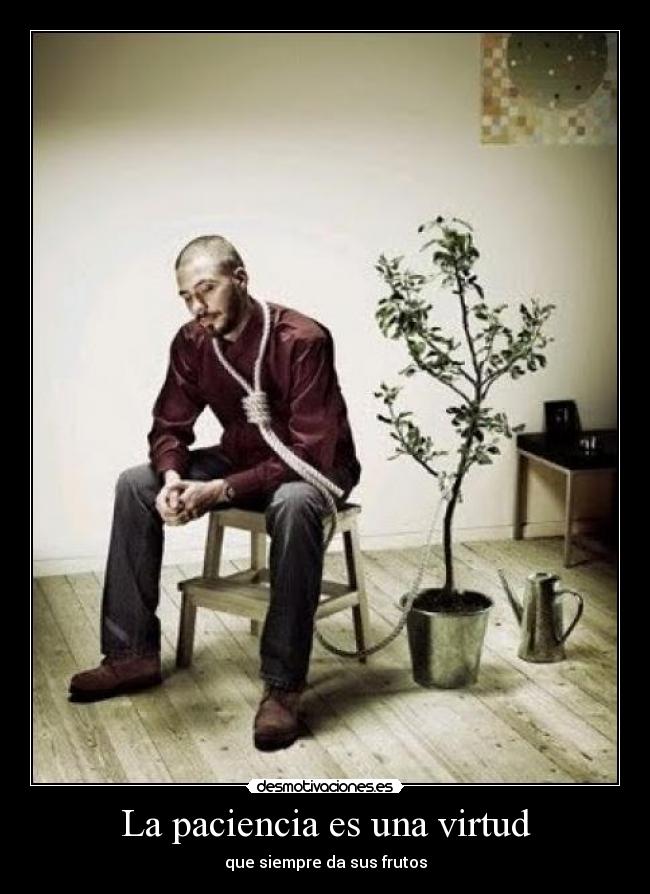 La paciencia es una virtud - que siempre da sus frutos