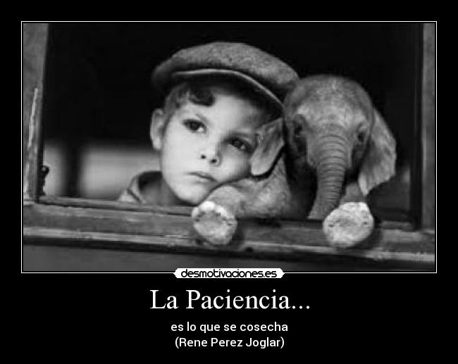 La Paciencia... - es lo que se cosecha
(Rene Perez Joglar)