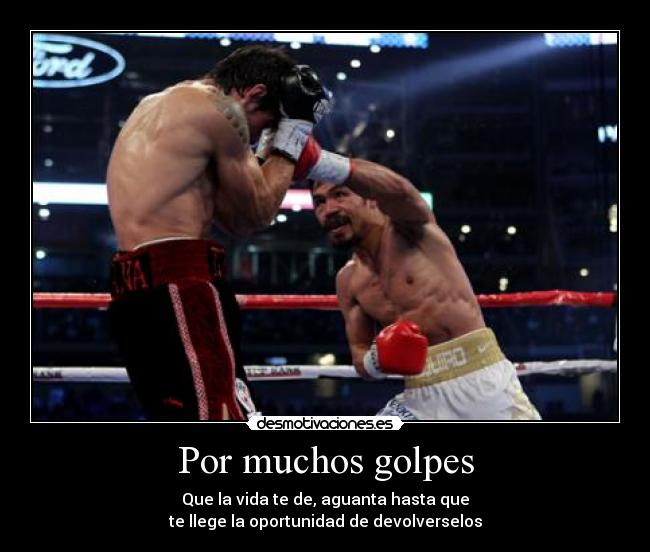 carteles golpes vida oportunidad desmotivaciones