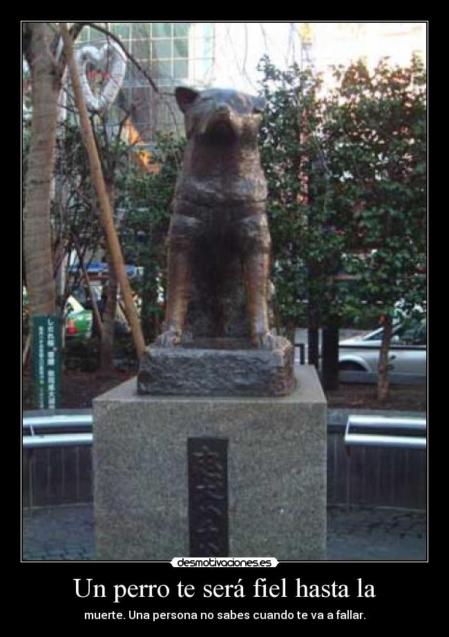 Un perro te será fiel hasta la -