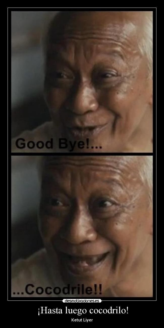 ¡Hasta luego cocodrilo! - 