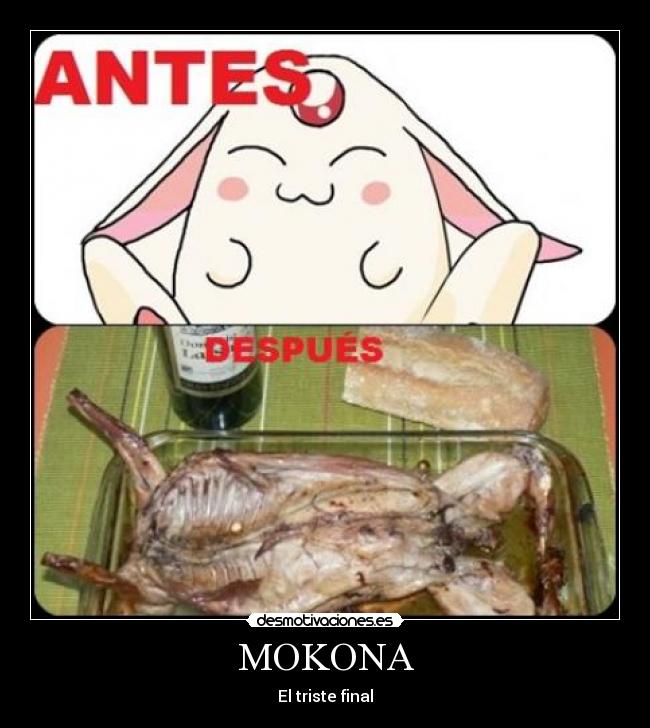 MOKONA - El triste final