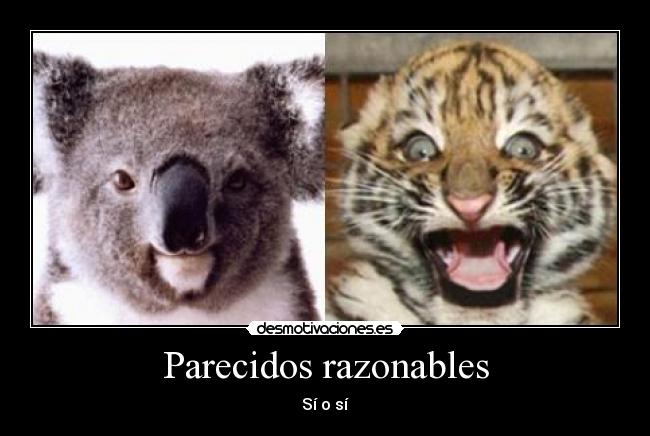 carteles kolangi tigretoneh ng desmotivaciones