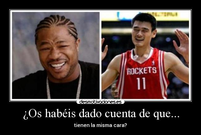 carteles xzibit yao ming desmotivaciones