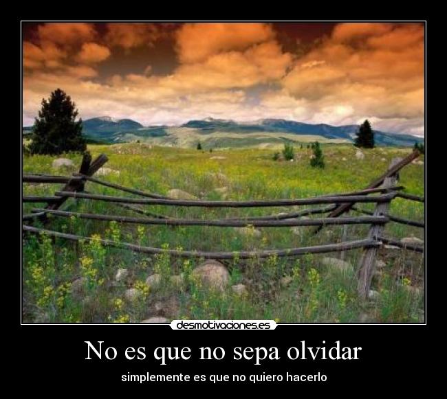 carteles olvidar love you desmotivaciones