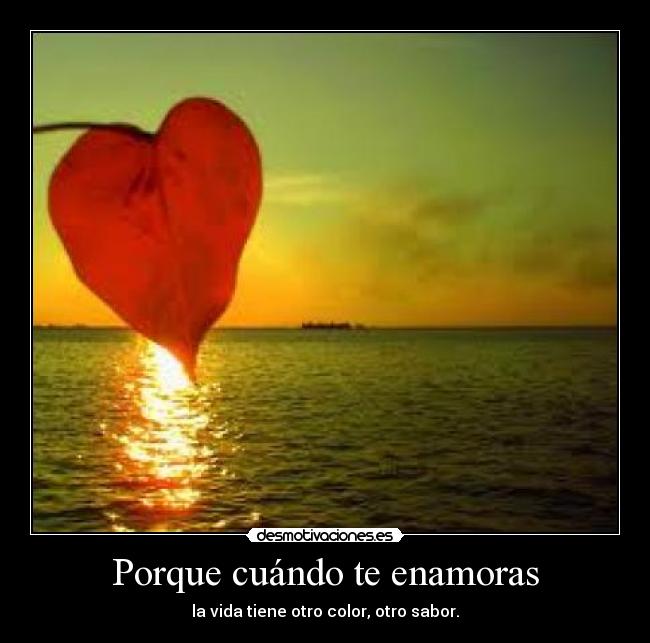 Porque cuándo te enamoras -