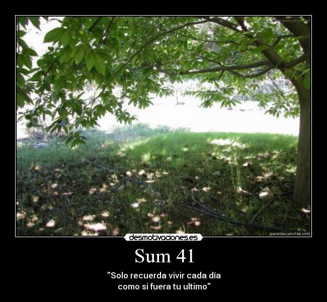 Sum 41 - Solo recuerda vivir cada día
como si fuera tu ultimo
