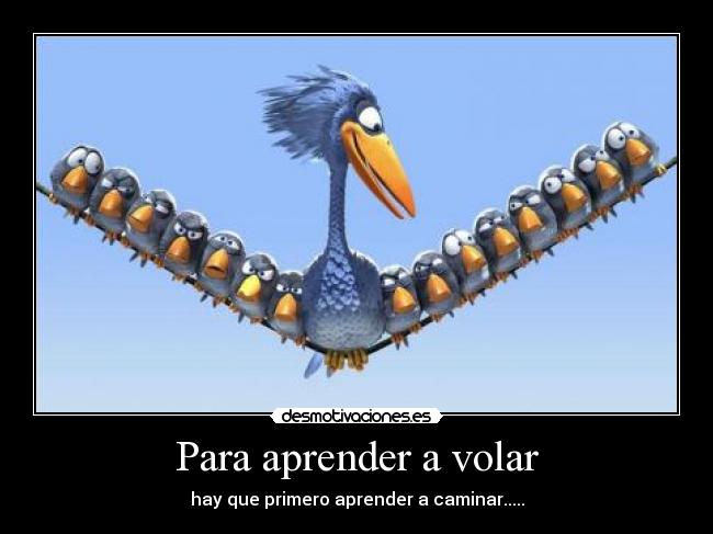 Para aprender a volar - hay que primero aprender a caminar.....