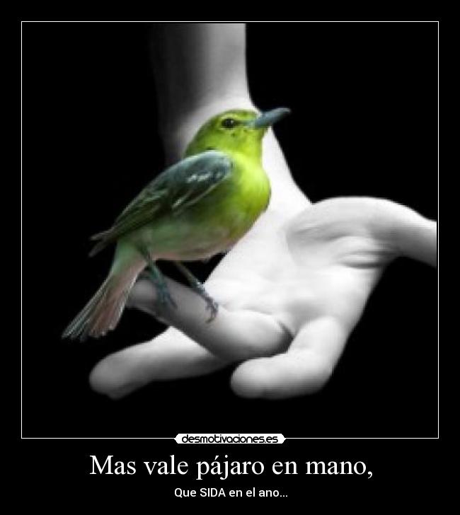 Mas vale pájaro en mano, - Que SIDA en el ano...