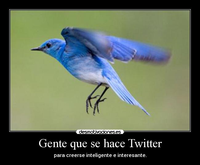 Gente que se hace Twitter - para creerse inteligente e interesante.