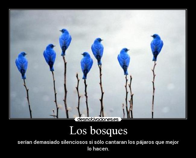 Los bosques - serían demasiado silenciosos si sólo cantaran los pájaros que mejor lo hacen.