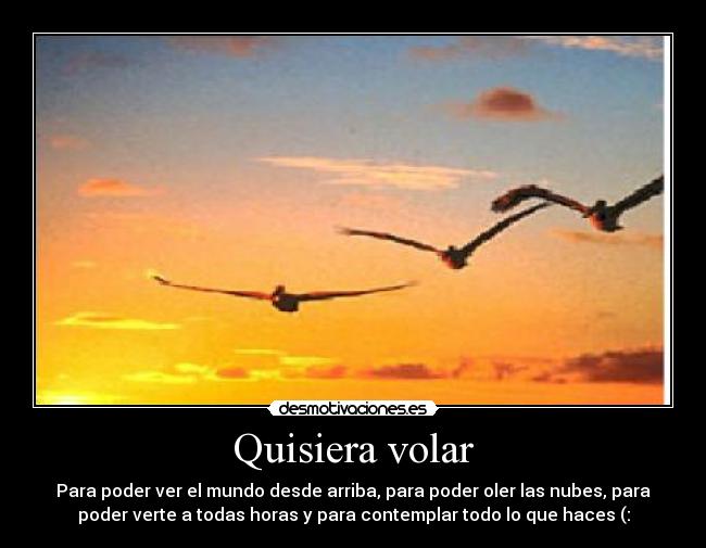 Quisiera volar -