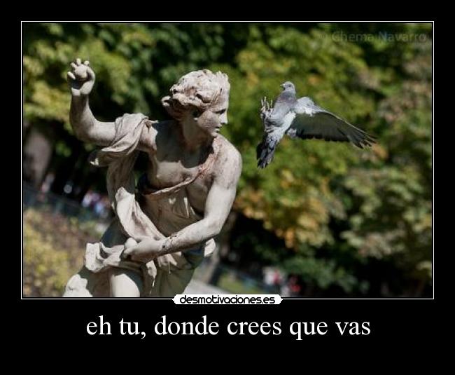 eh tu, donde crees que vas - 